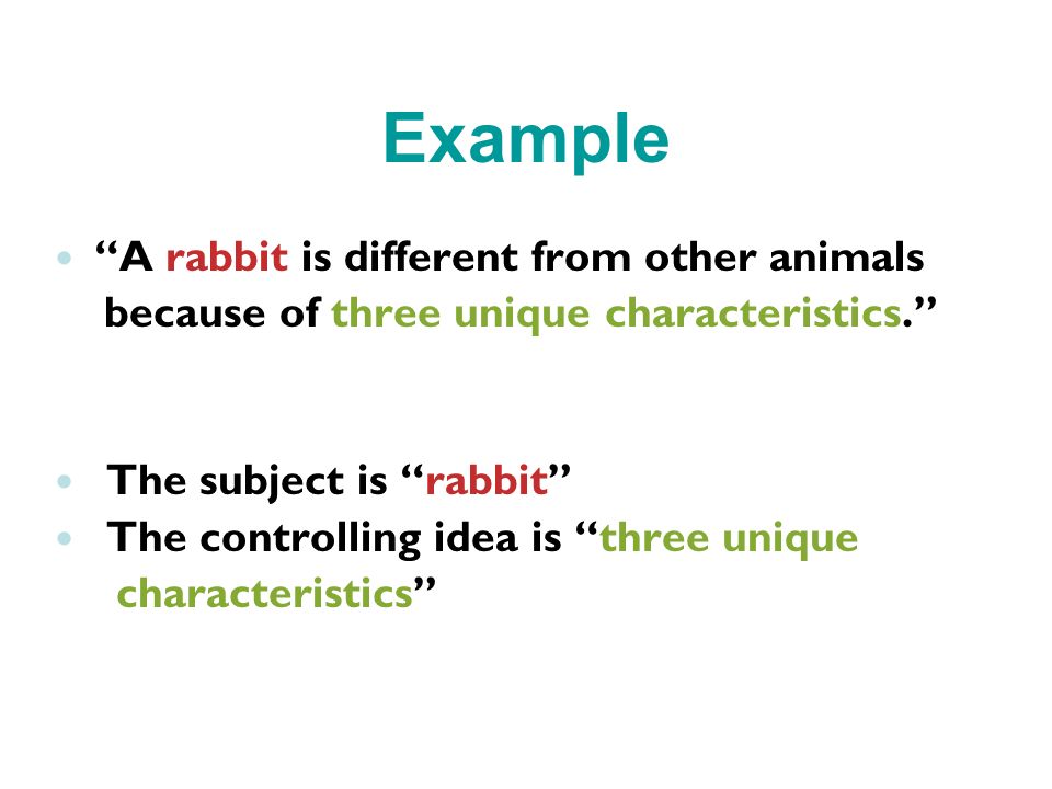 Example A rabbit is different from other animals