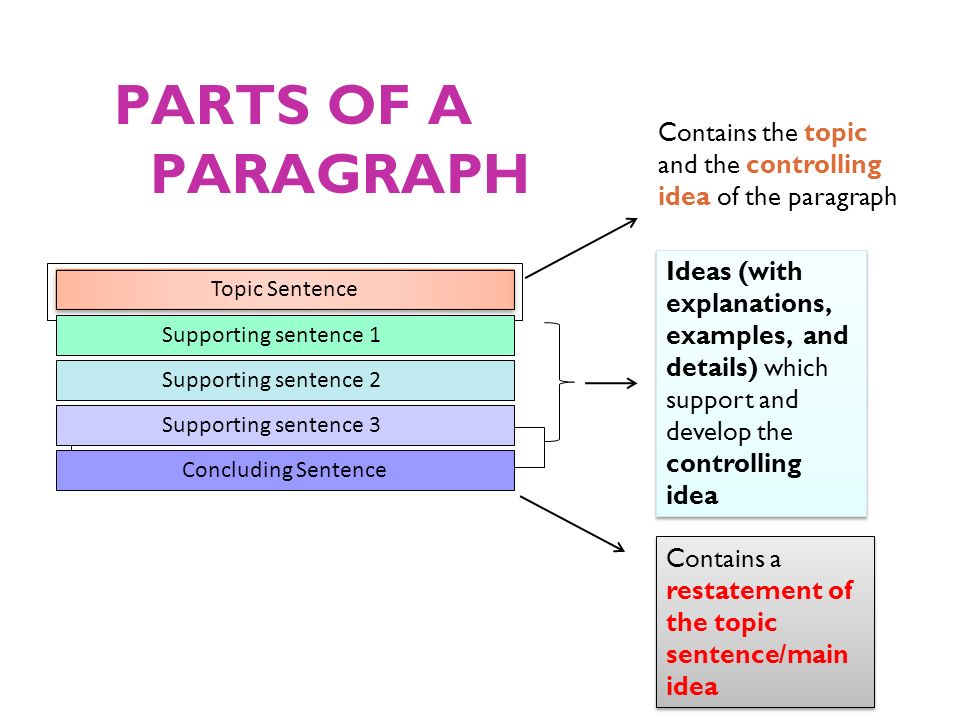 PARTS OF A PARAGRAPH Contains the topic and the controlling idea of the paragraph.