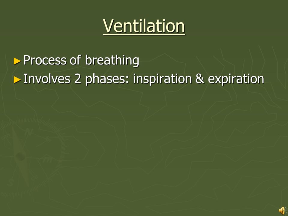 Ventilation Process of breathing