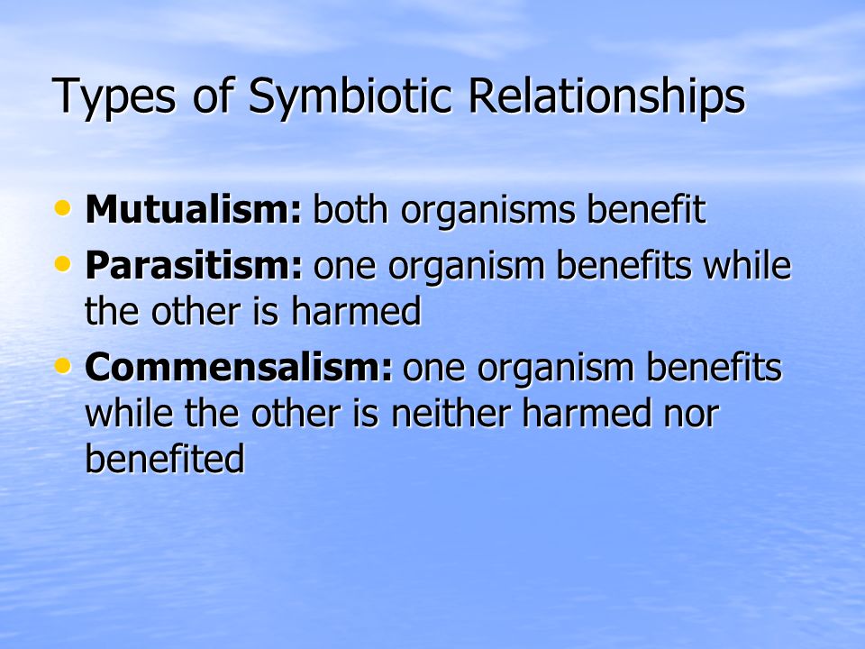 Types of Symbiotic Relationships