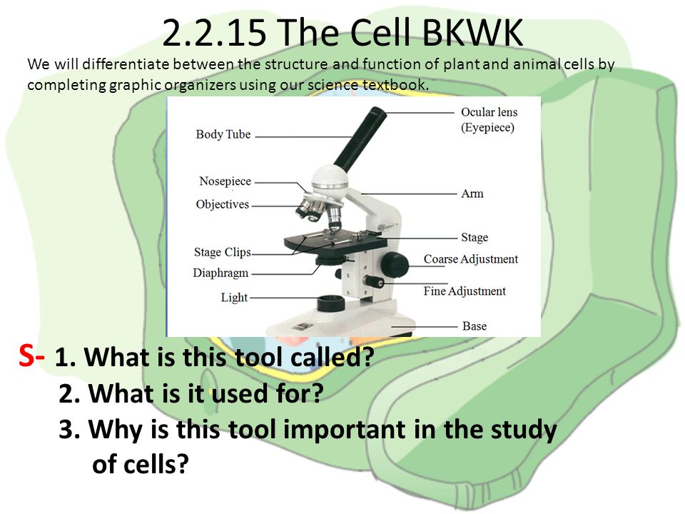 The Cell BKWK S- 1. What is this tool called