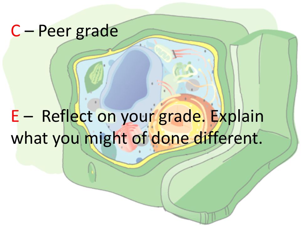 C – Peer grade E – Reflect on your grade. Explain what you might of done different.