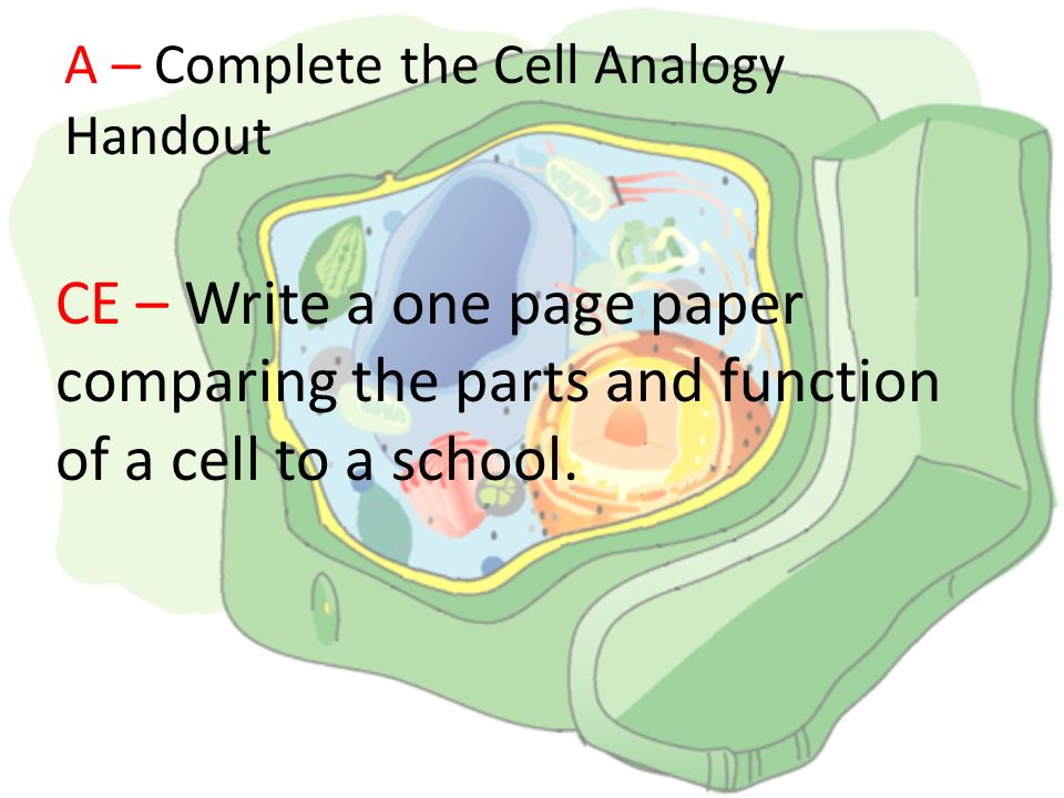 A – Complete the Cell Analogy Handout