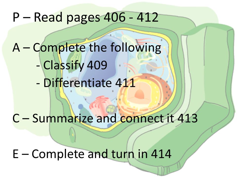 P – Read pages A – Complete the following - Classify Differentiate 411 C – Summarize and connect it 413 E – Complete and turn in 414