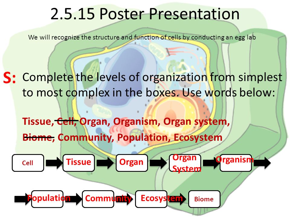 Poster Presentation S: