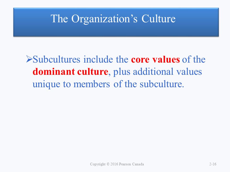 The Organization’s Culture