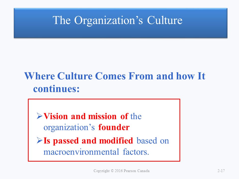 The Organization’s Culture