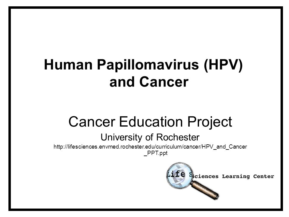 hpv and cancer ppt