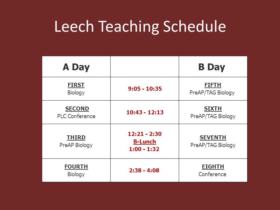 Leech Teaching Schedule