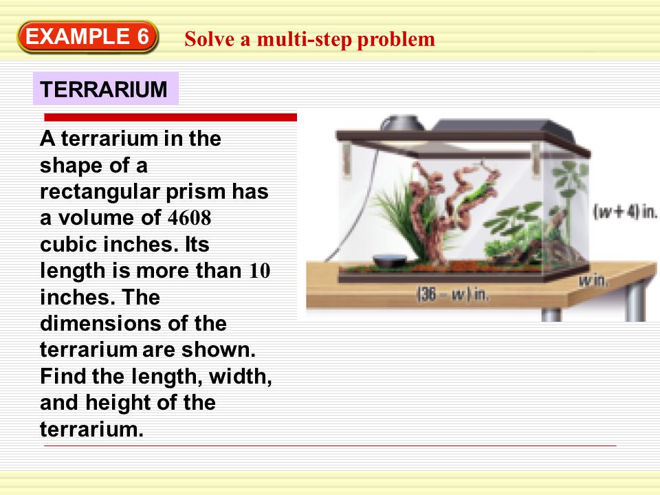 EXAMPLE 6 Solve a multi-step problem. TERRARIUM.