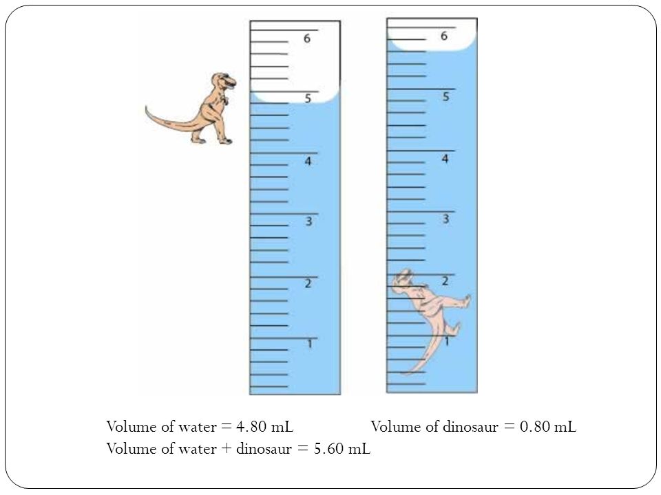 Volume of water = 4.80 mL Volume of dinosaur = 0.80 mL