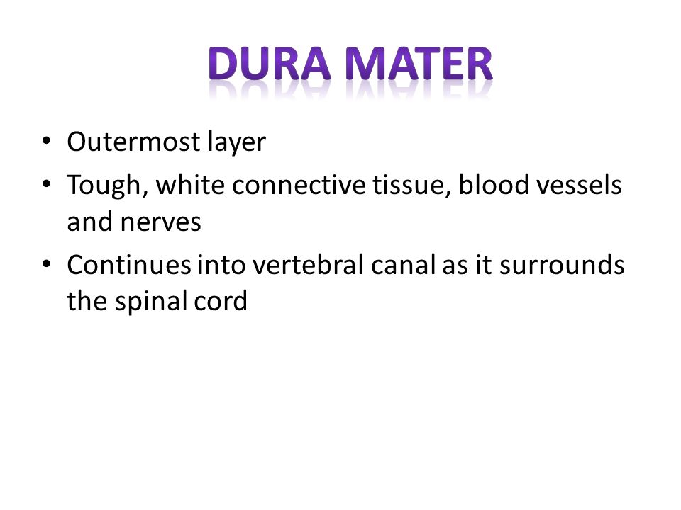 Dura mater Outermost layer