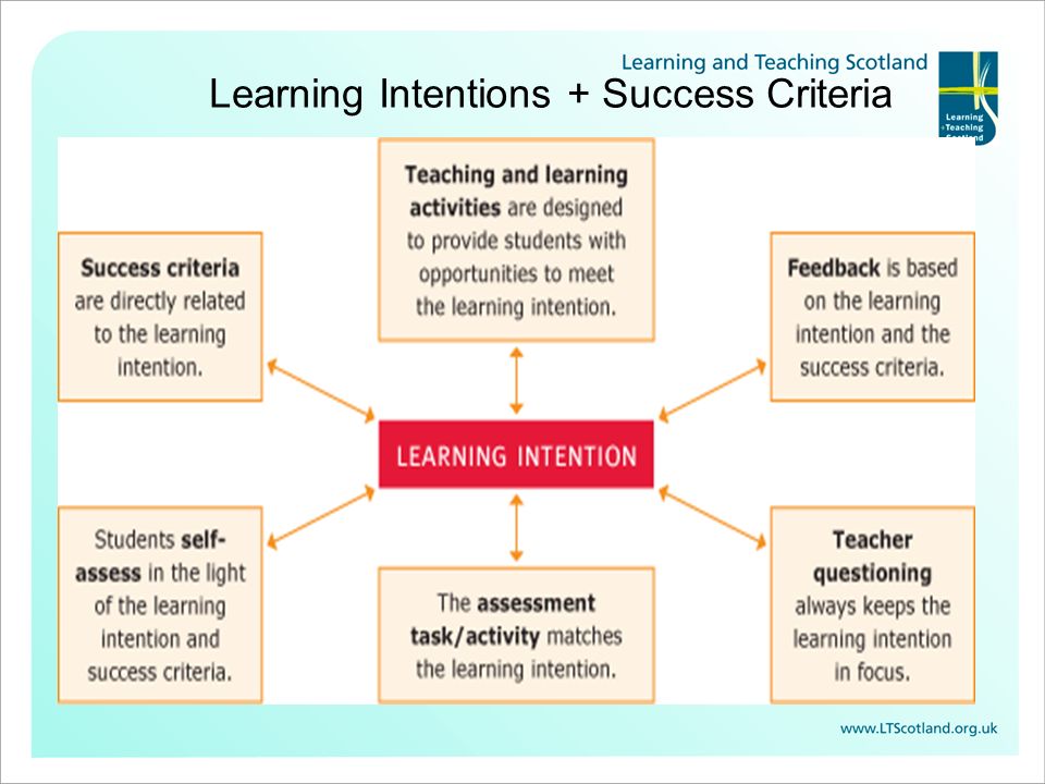 Learning Intentions + Success Criteria