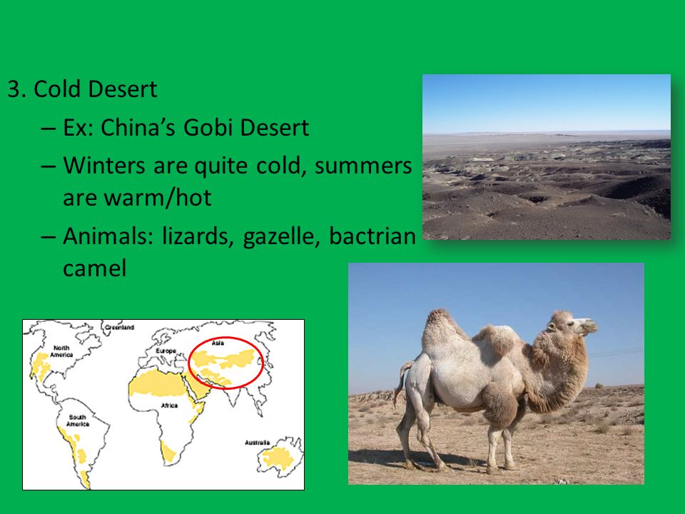 Ex: China’s Gobi Desert Winters are quite cold, summers are warm/hot