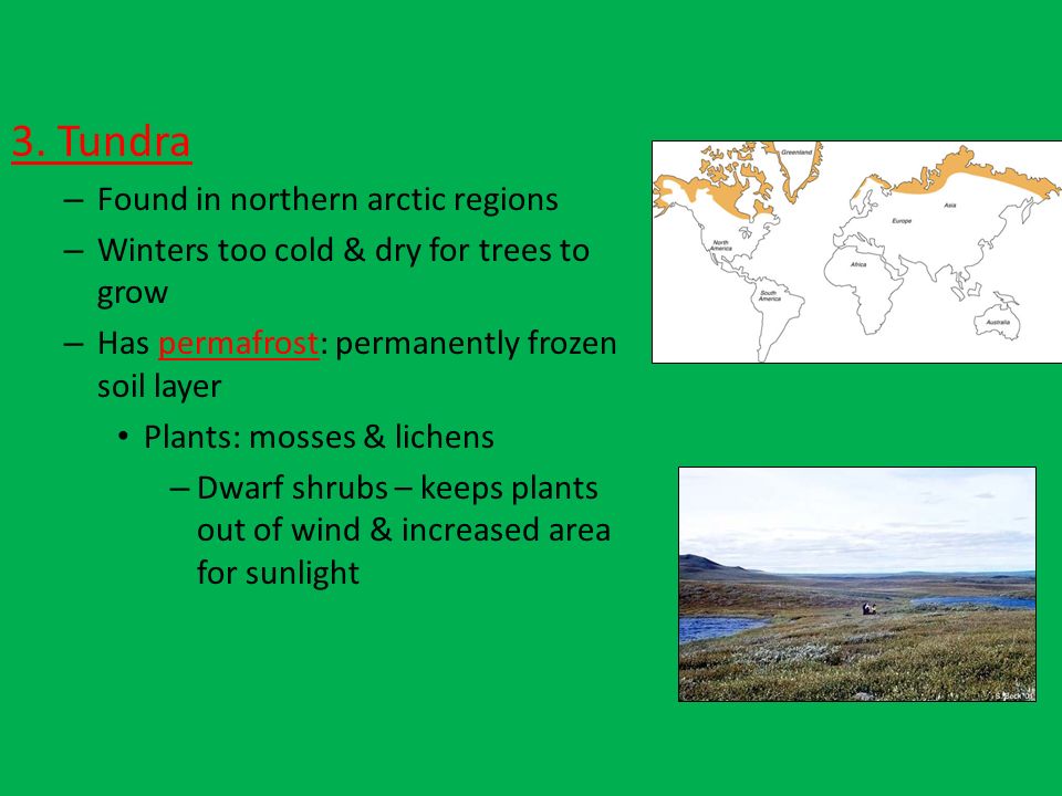 3. Tundra Found in northern arctic regions