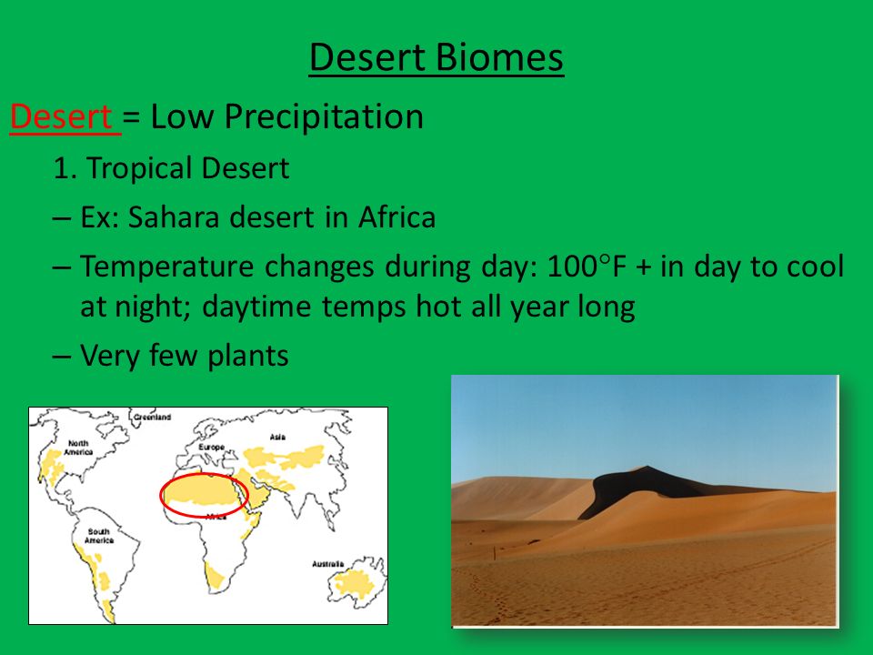 Desert Biomes Desert = Low Precipitation 1. Tropical Desert