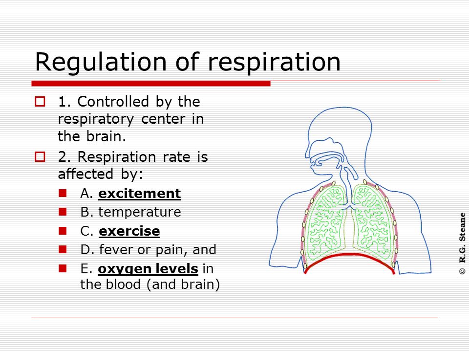 Regulation of respiration