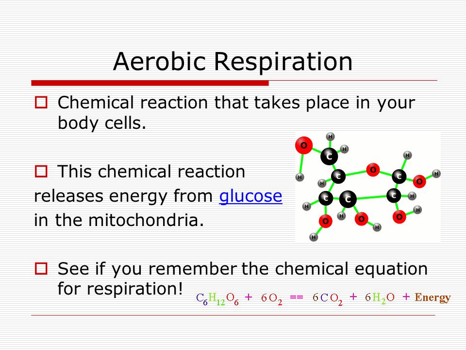 Aerobic Respiration Chemical reaction that takes place in your body cells. This chemical reaction.