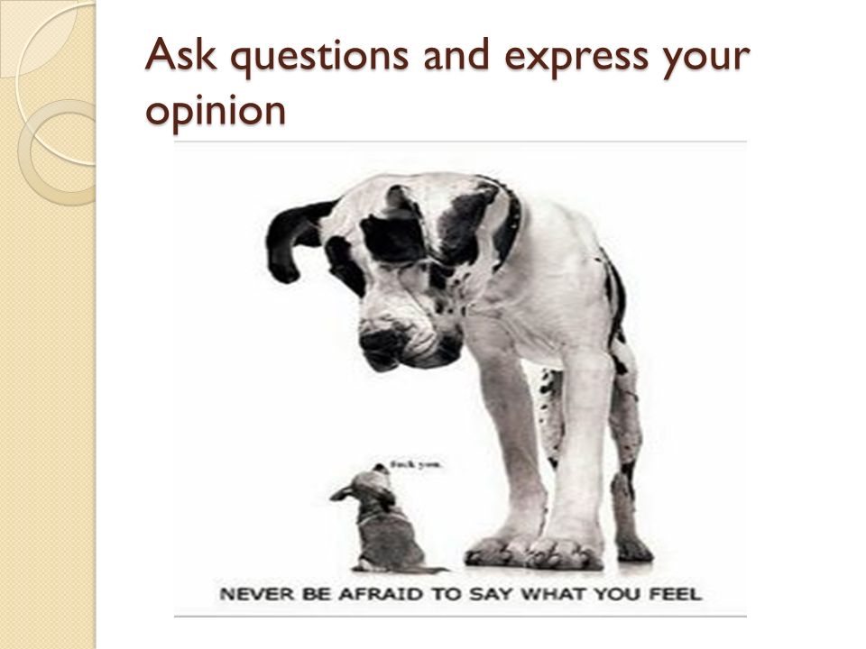 Ask questions and express your opinion