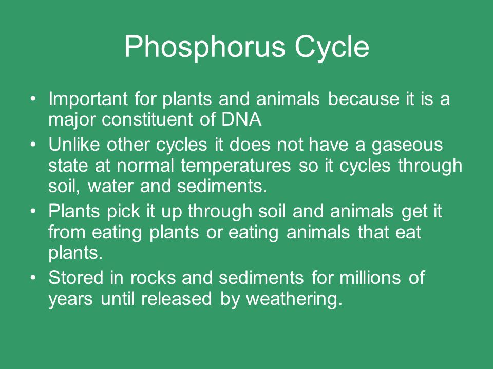 Phosphorus Cycle Important for plants and animals because it is a major constituent of DNA.