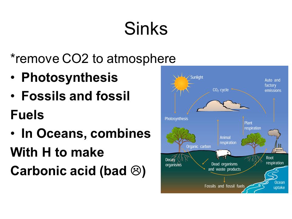 Sinks *remove CO2 to atmosphere Photosynthesis Fossils and fossil
