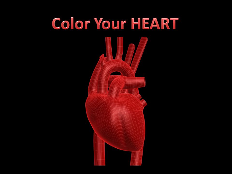 Color Your HEART