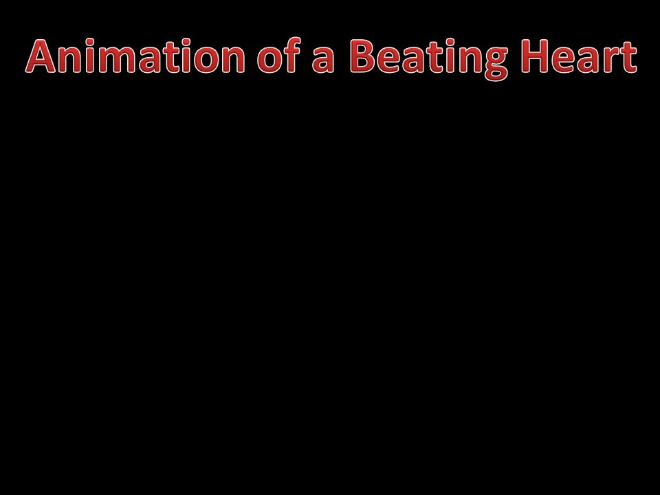 Animation of a Beating Heart