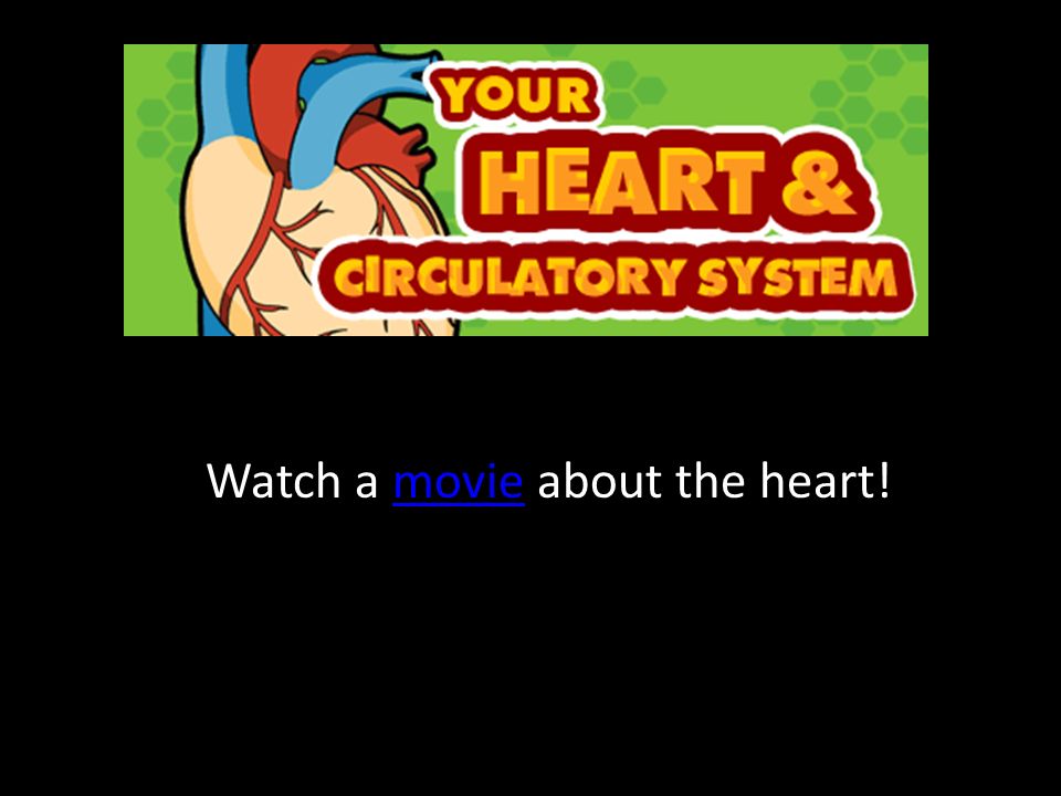 Watch a movie about the heart!