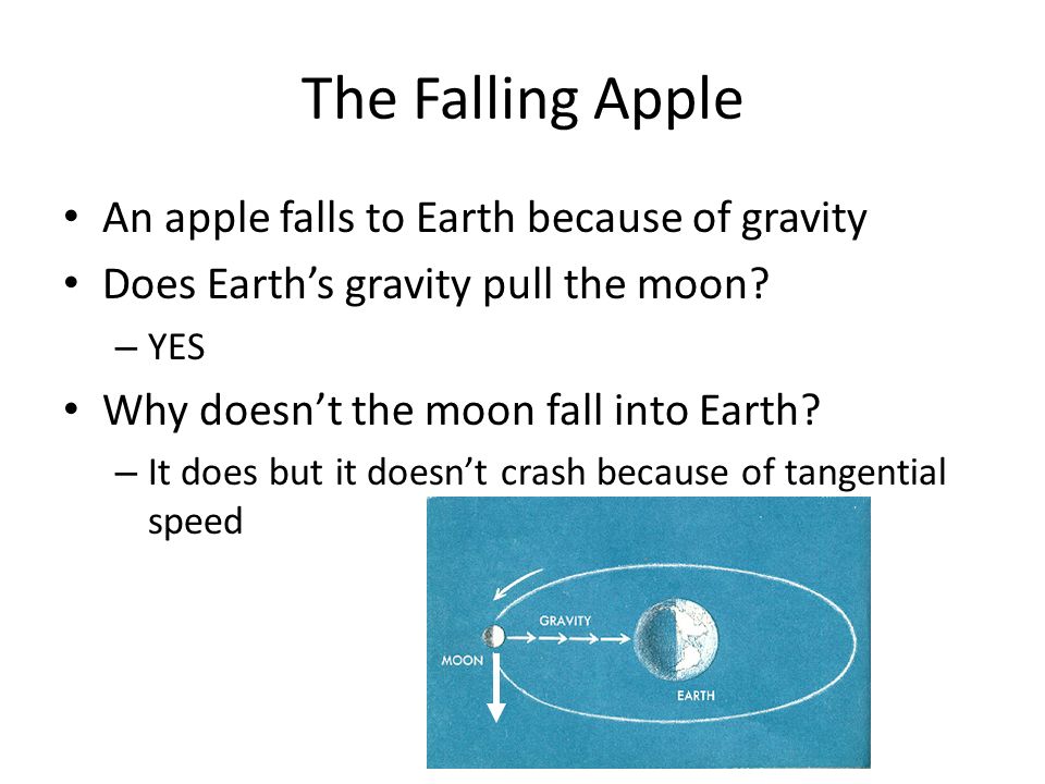 The Falling Apple An apple falls to Earth because of gravity