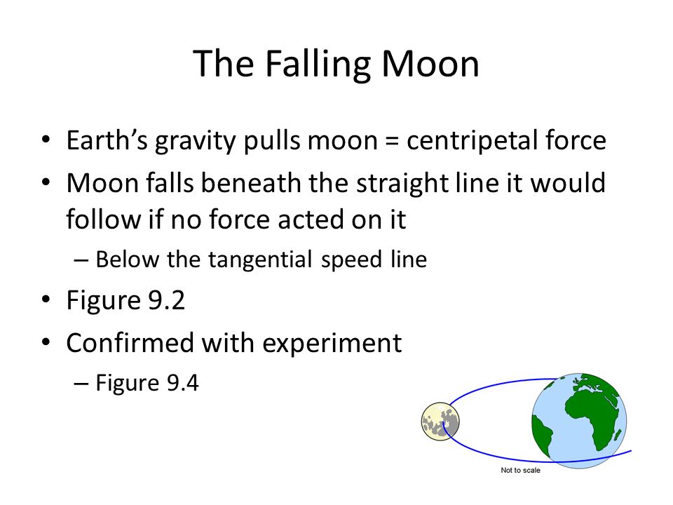 The Falling Moon Earth’s gravity pulls moon = centripetal force
