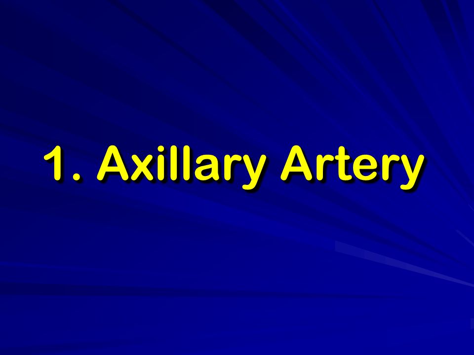 axillaryartery,peronealartery contents of the axilla axillary artery and its brnnches.