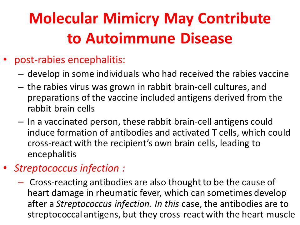 Molecular Mimicry May Contribute to Autoimmune Disease