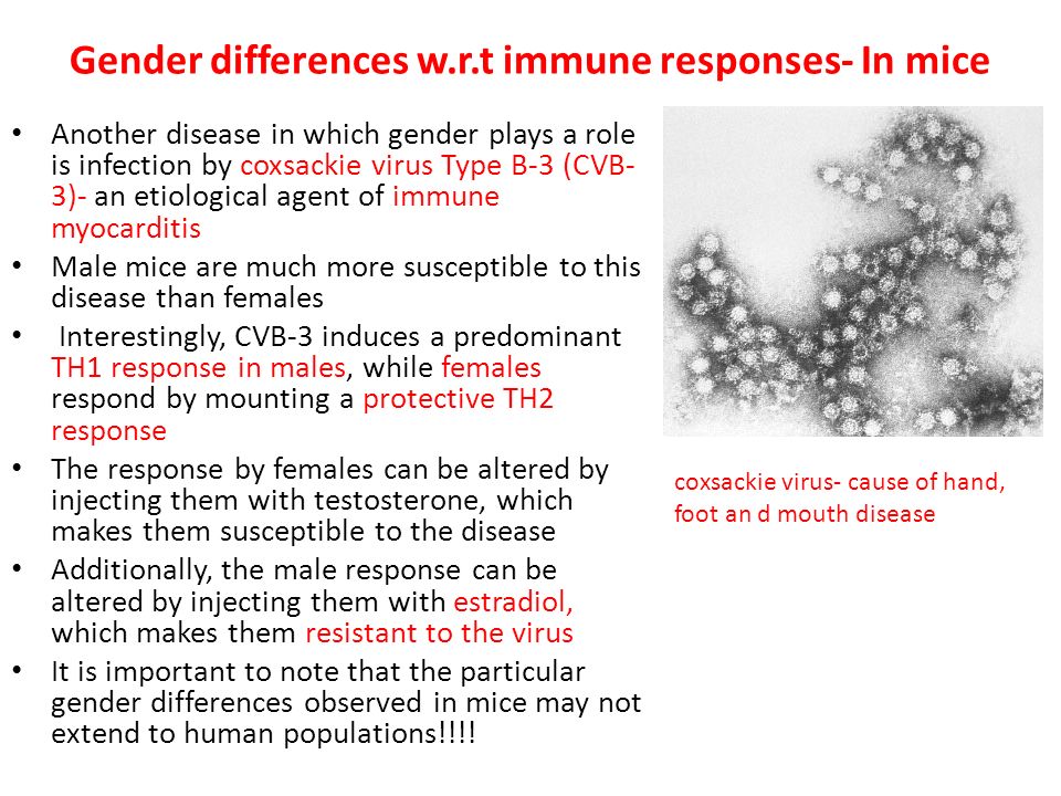 Gender differences w.r.t immune responses- In mice