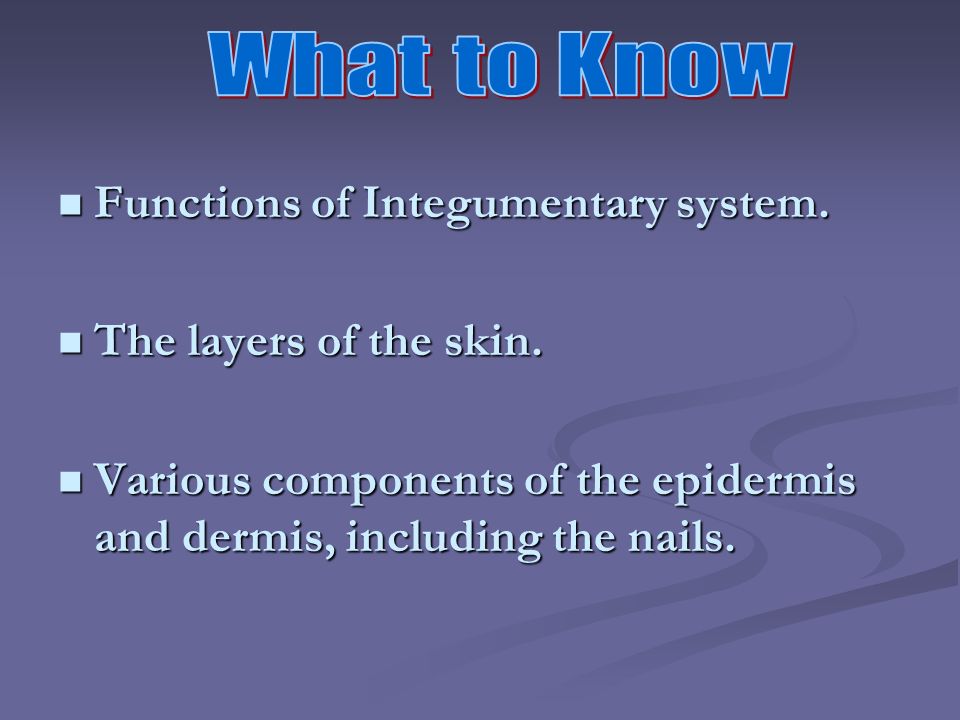 What to Know Functions of Integumentary system. The layers of the skin.