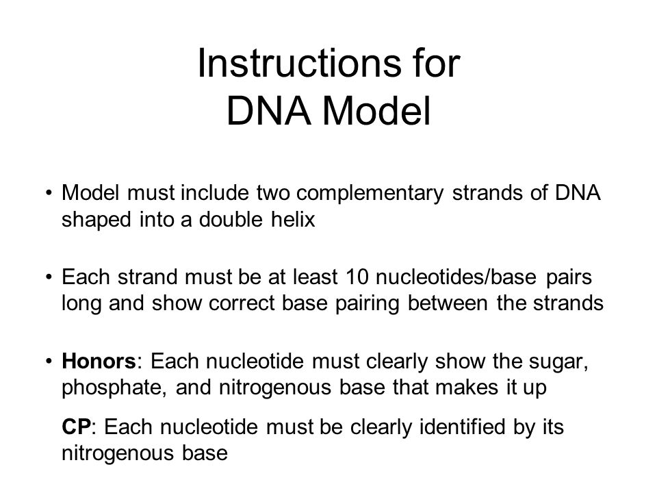 Instructions For Dna Model Ppt Video Online Download