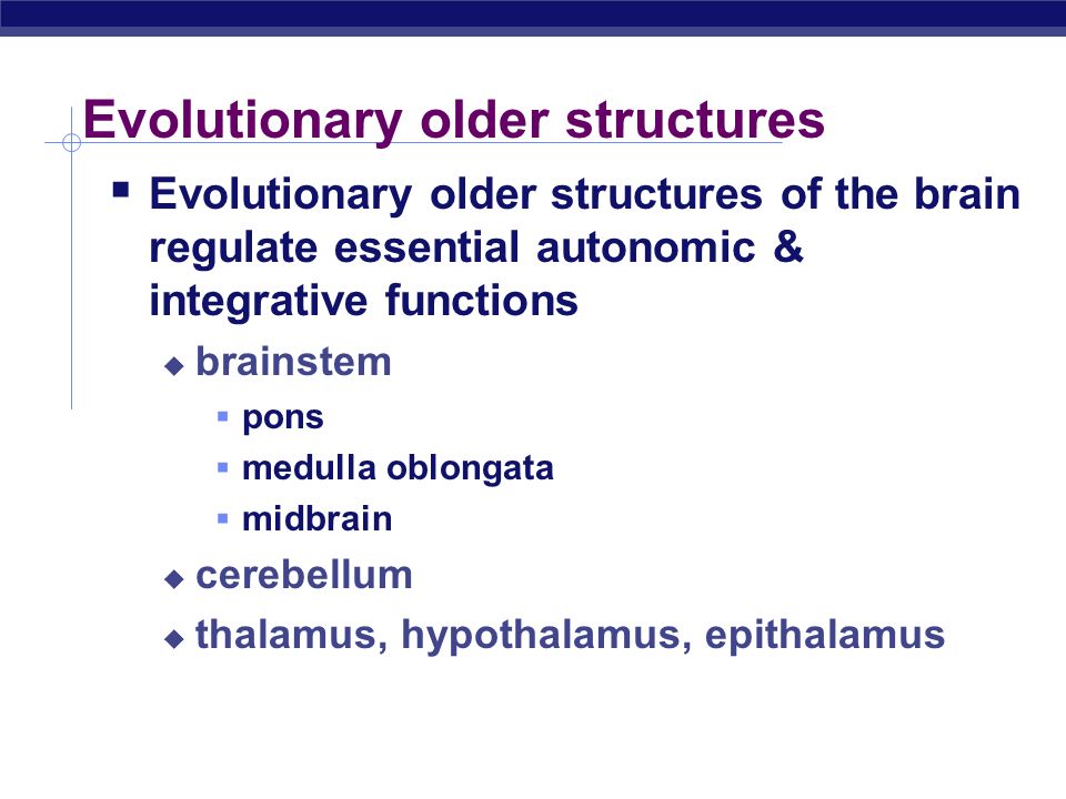 Evolutionary older structures