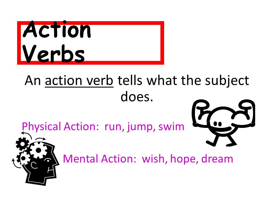 An action verb tells what the subject does.