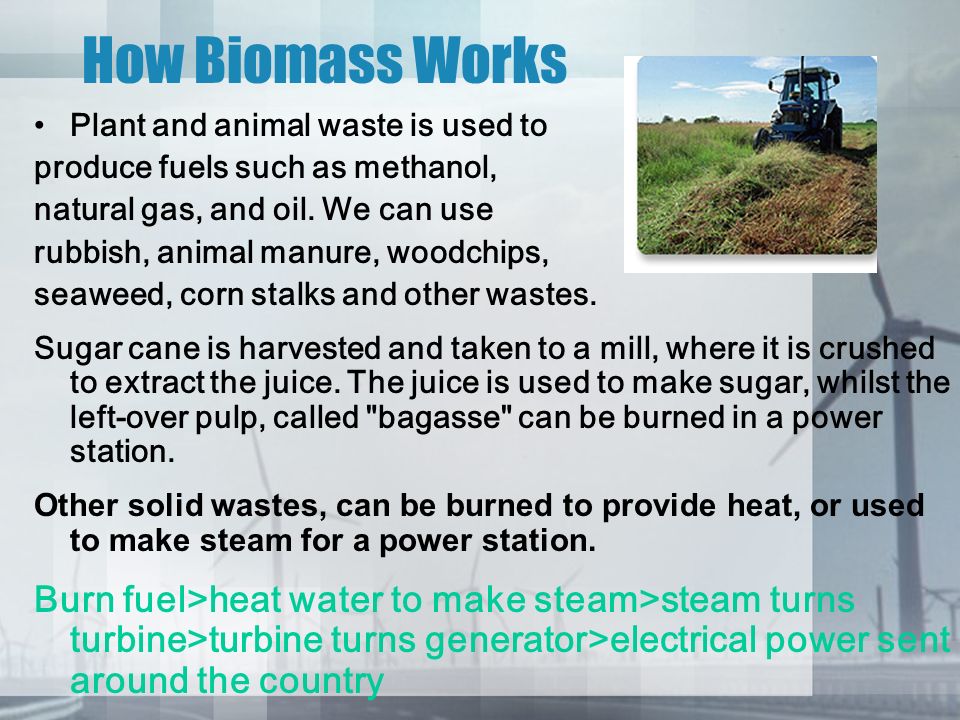 How Biomass Works Plant and animal waste is used to. produce fuels such as methanol, natural gas, and oil. We can use.