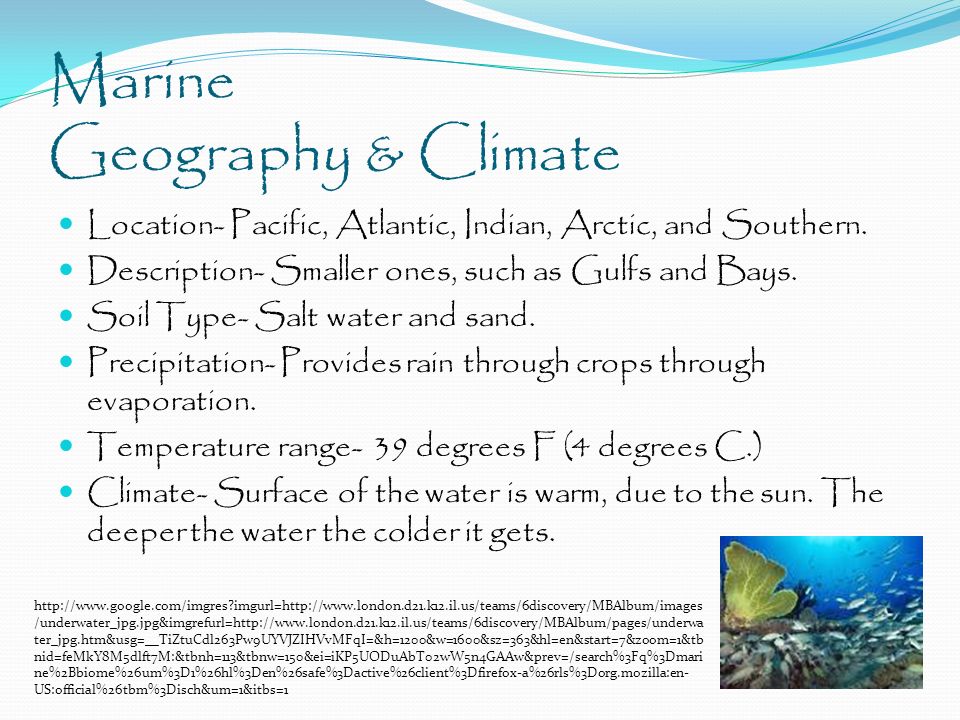 Marine Geography & Climate