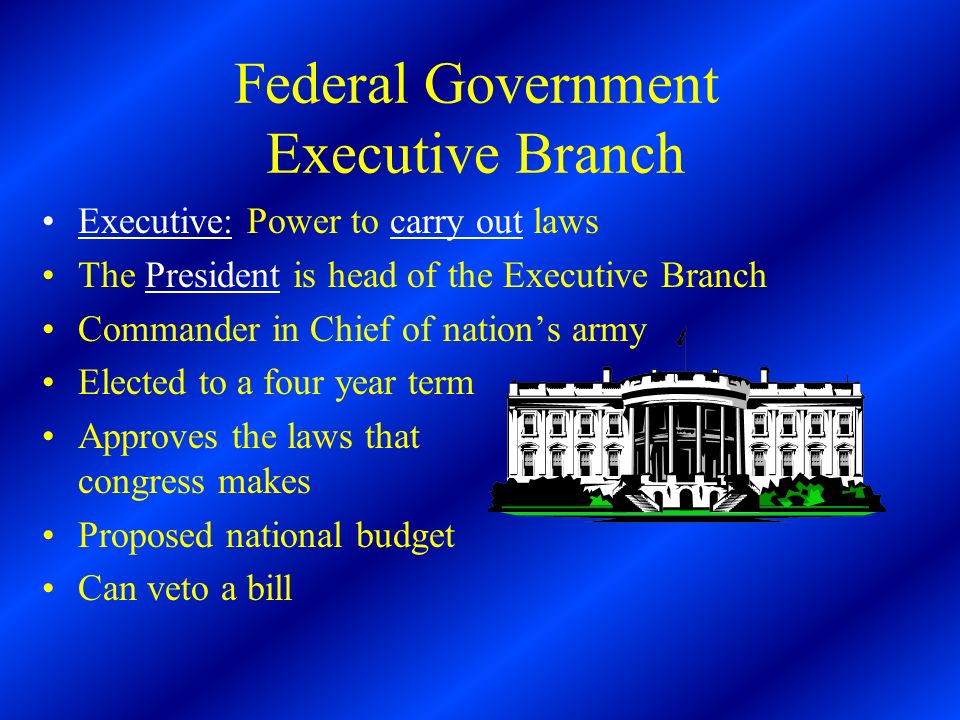 Federal Government Executive Branch