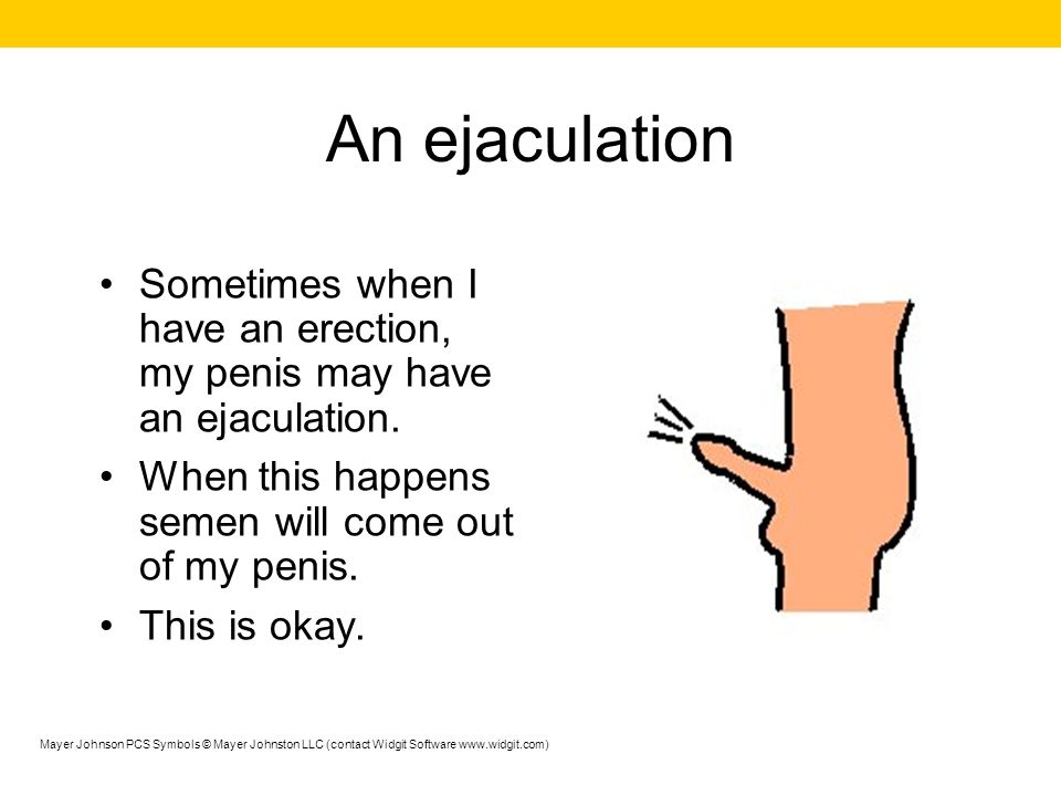 An ejaculation Sometimes when I have an erection, my penis may have an ejaculation. When this happens semen will come out of my penis.