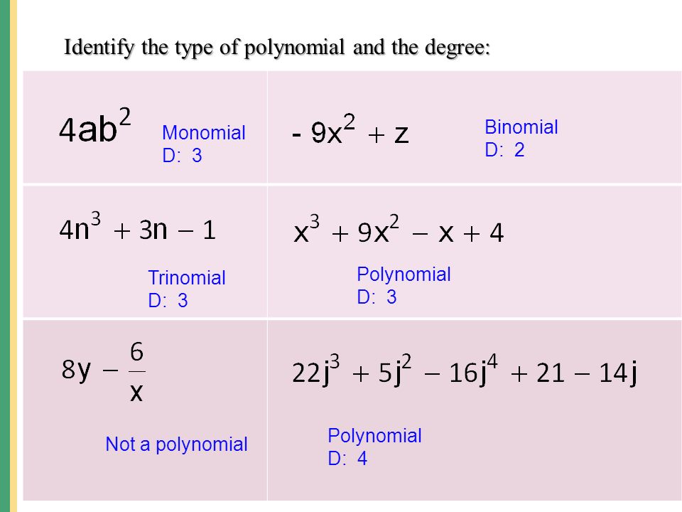 Identify the type of polynomial and the degree: