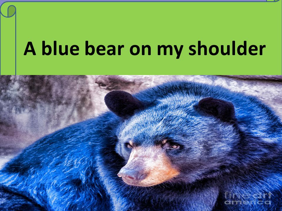 A blue bear on my shoulder