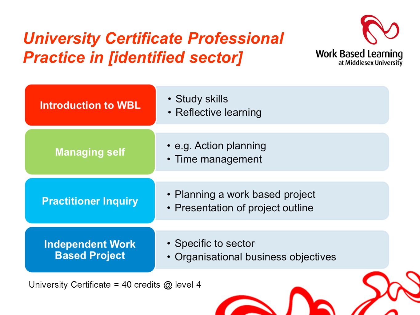University Certificate Professional Practice in [identified sector]
