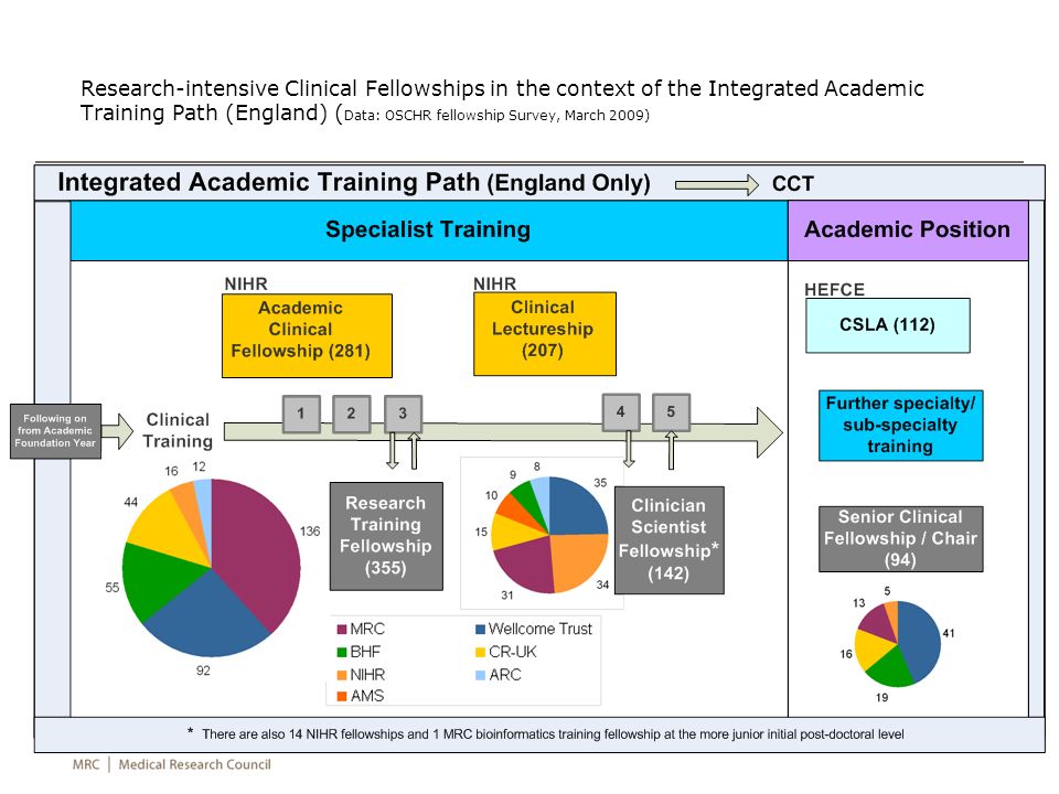 Research-intensive Clinical Fellowships in the context of the Integrated Academic Training Path (England) (Data: OSCHR fellowship Survey, March 2009)