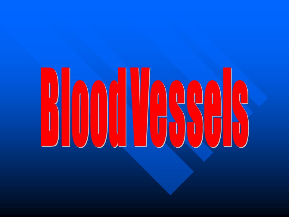 Blood Vessels