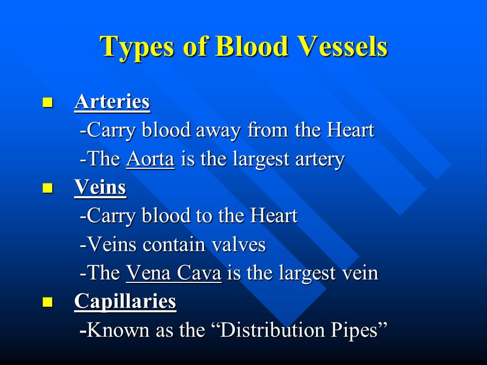 Types of Blood Vessels Arteries -Carry blood away from the Heart