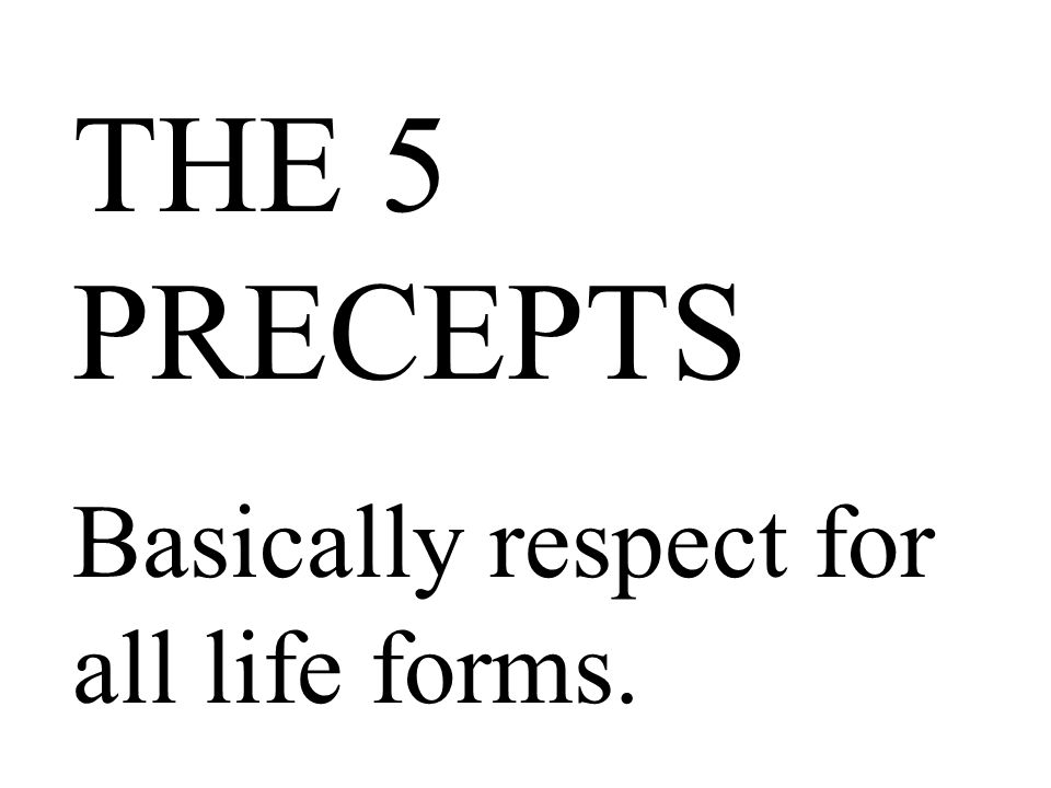 THE 5 PRECEPTS Basically respect for all life forms.