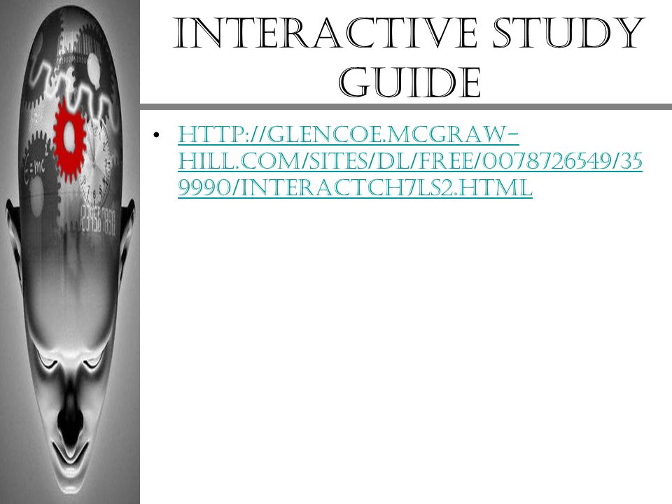 Interactive study guide
