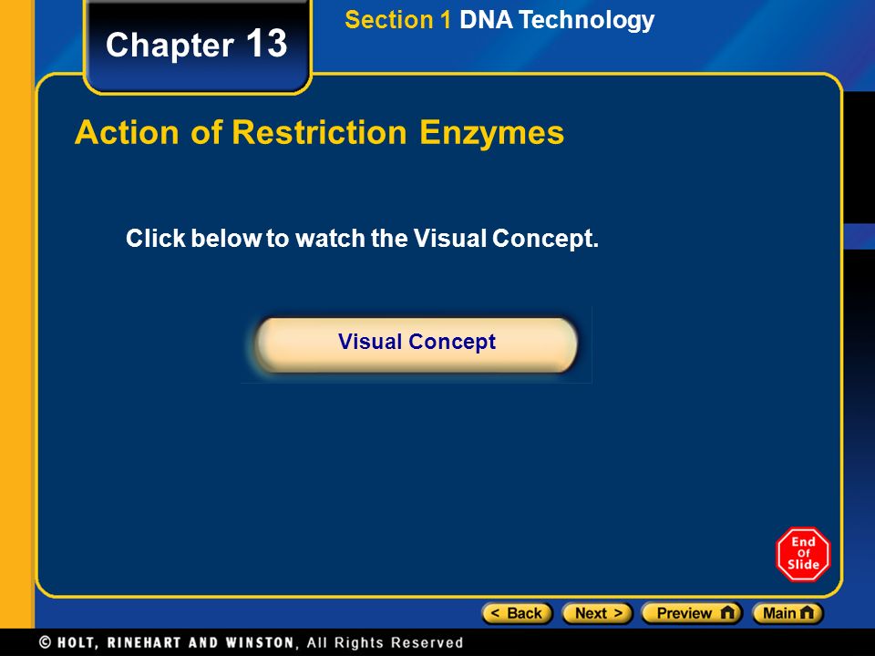 Action of Restriction Enzymes